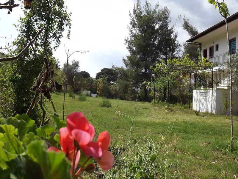 Pefka Studios & Apartments Vourvourou Bagian luar foto