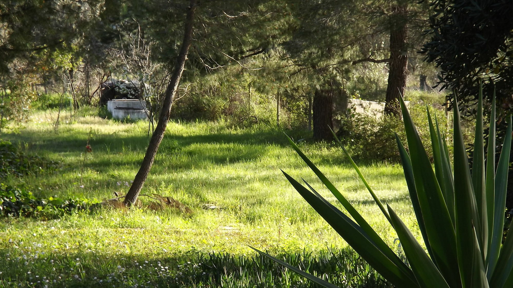 Pefka Studios & Apartments Vourvourou Bagian luar foto