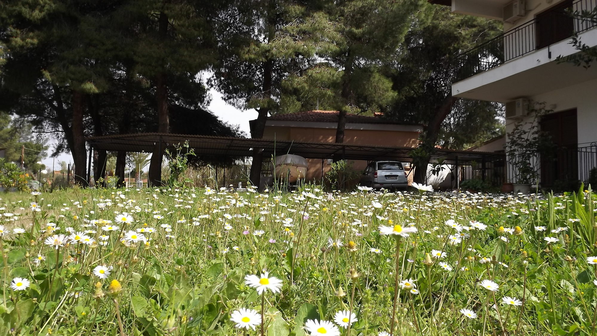 Pefka Studios & Apartments Vourvourou Bagian luar foto