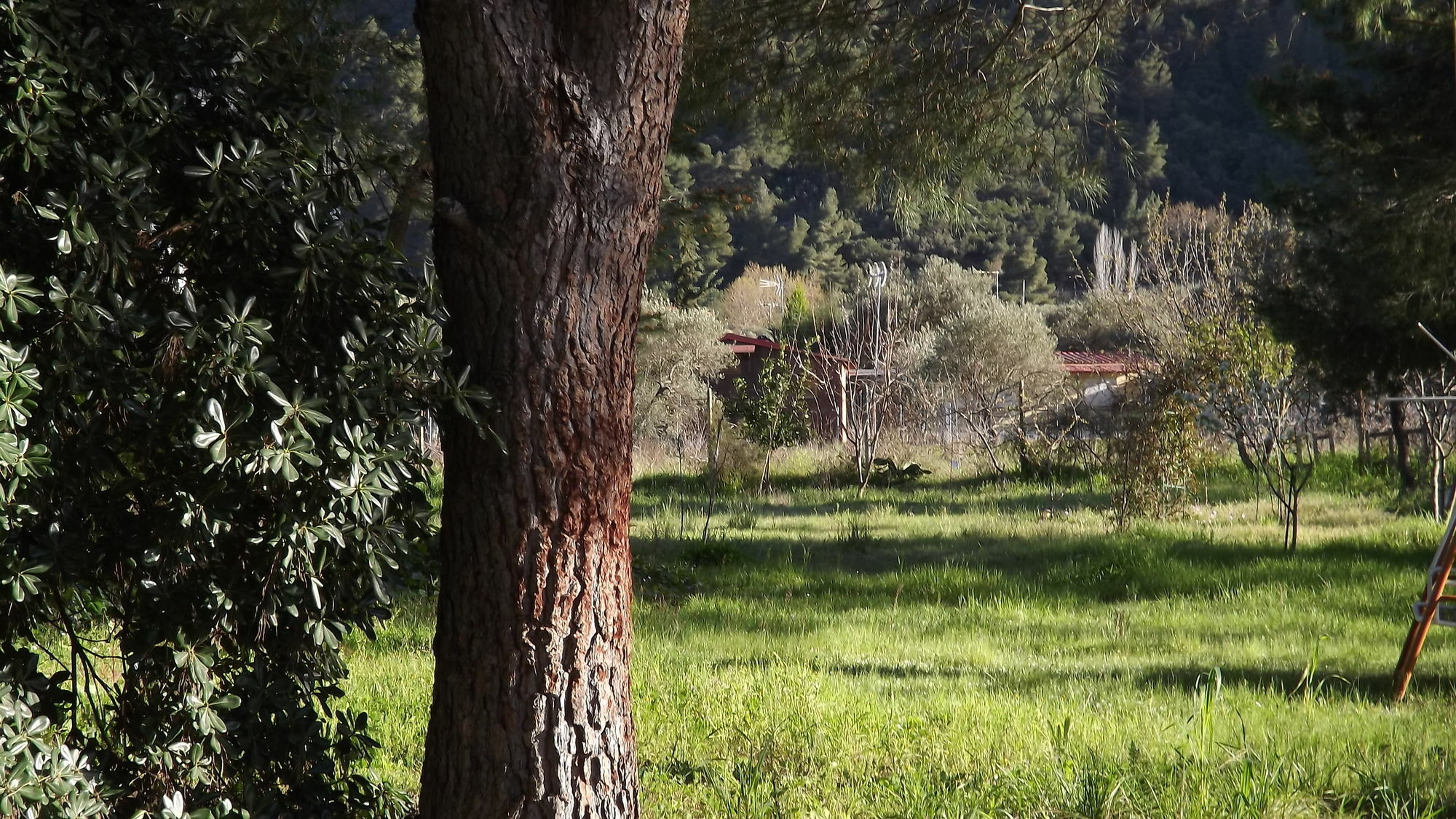 Pefka Studios & Apartments Vourvourou Bagian luar foto